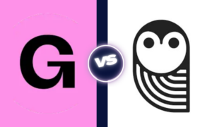 Gumroad VS SendOwl which one is better?