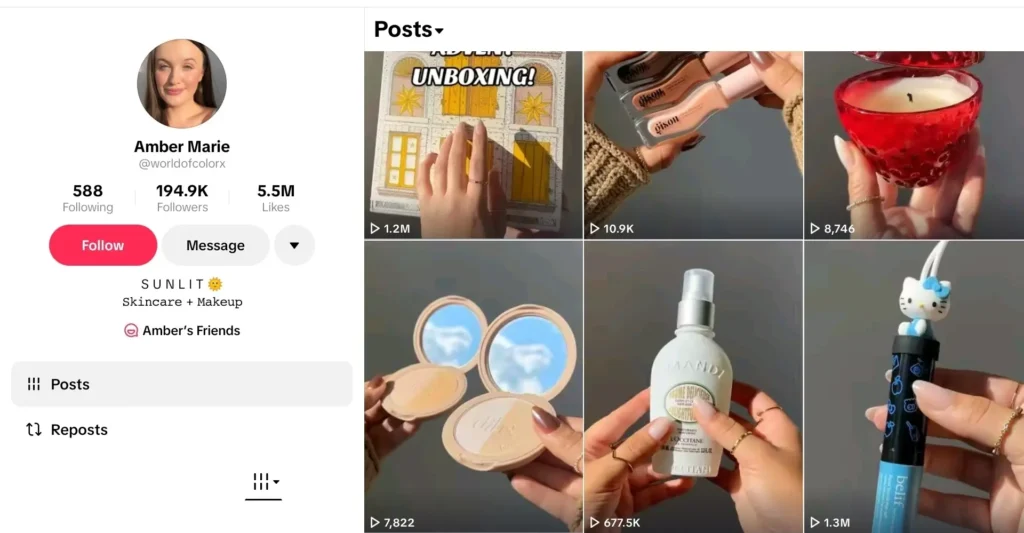Example of Faceless TikTok niche
