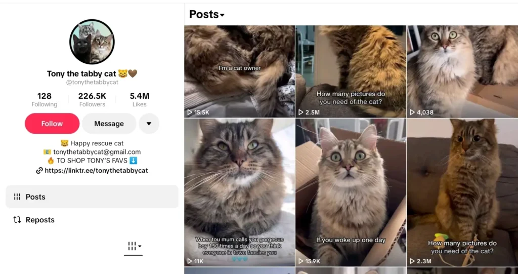 Example of Faceless TikTok niche
