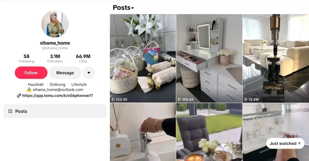 Example of Faceless TikTok niche